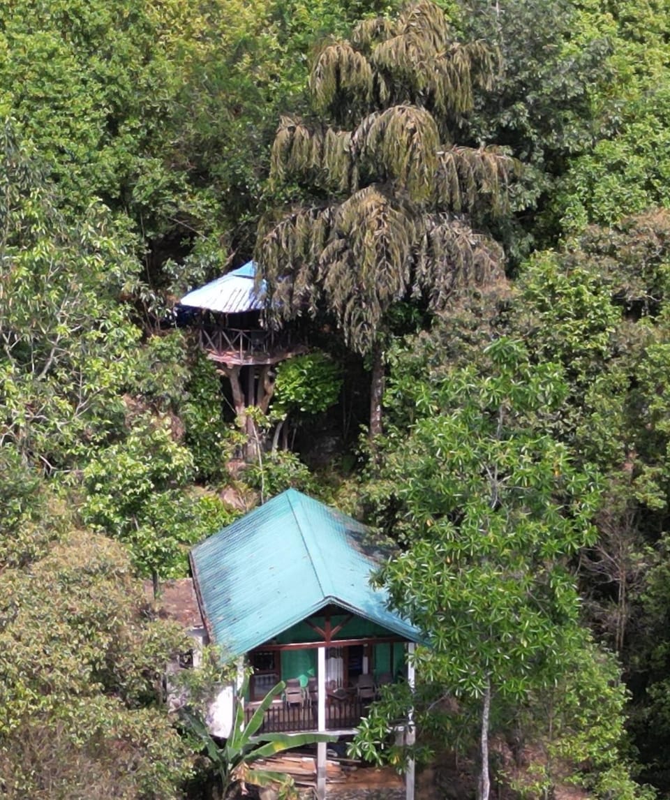 Sinharaja Rest Bed and Breakfast in Southern Province