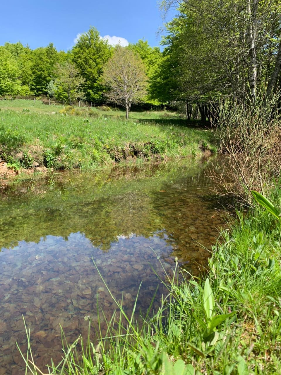 Natural landscape