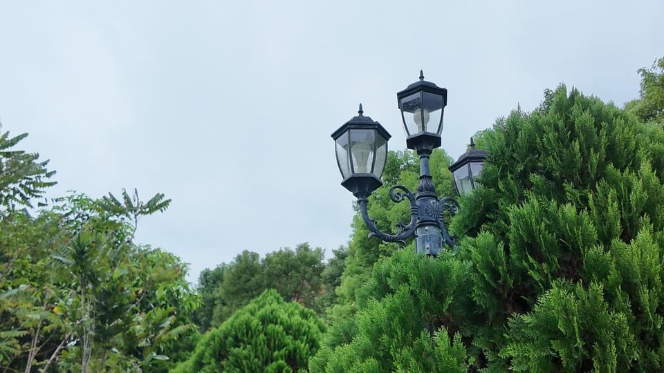Garden view