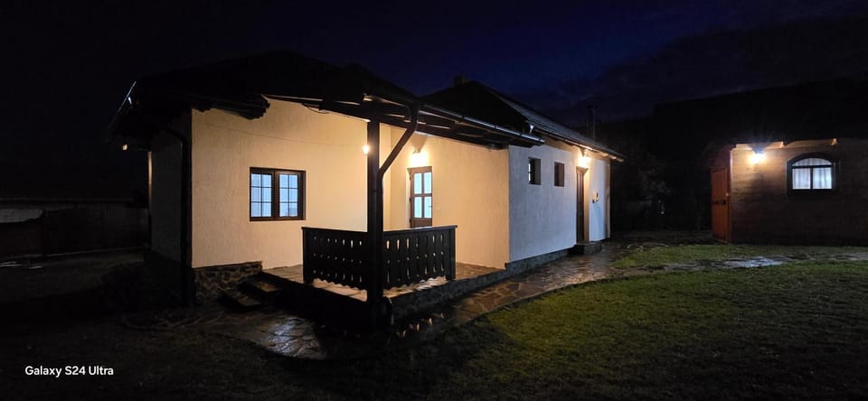 Casa LEO House in Romania