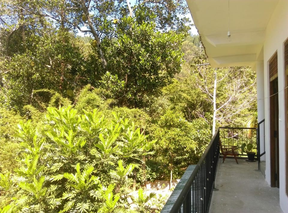 Day, Natural landscape, Garden, View (from property/room), Balcony/Terrace, Garden view
