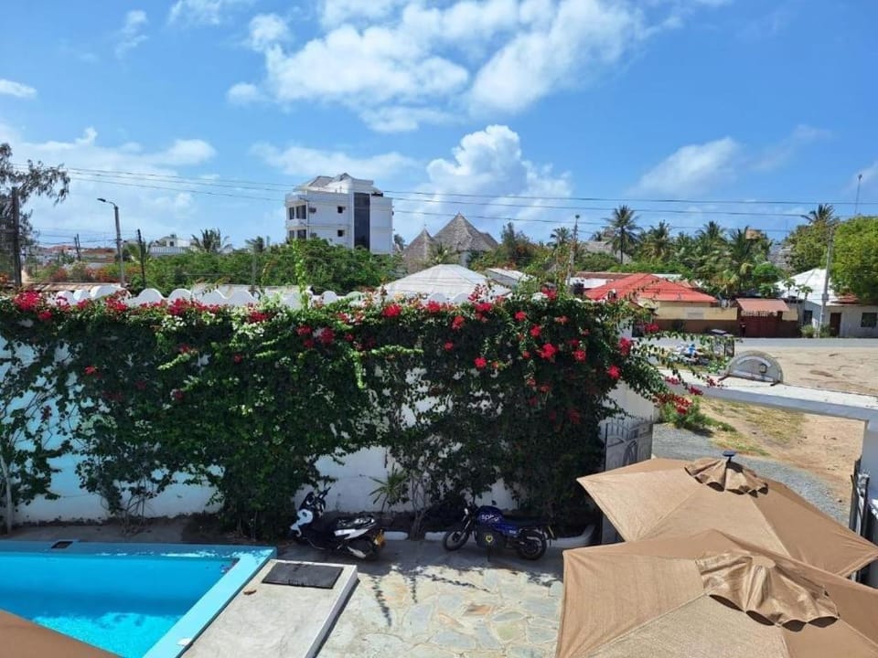 Patio, Day, Garden view, Pool view, Swimming pool