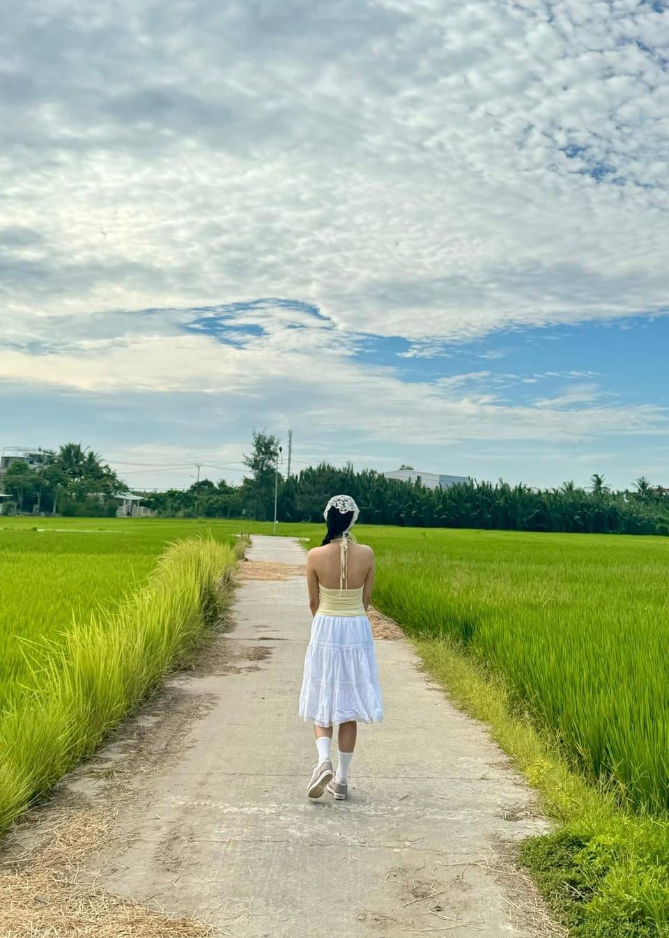 Natural landscape