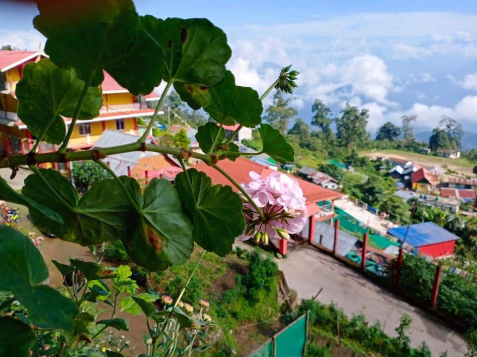 Skylerr Hut Vacation rental in Maharashtra