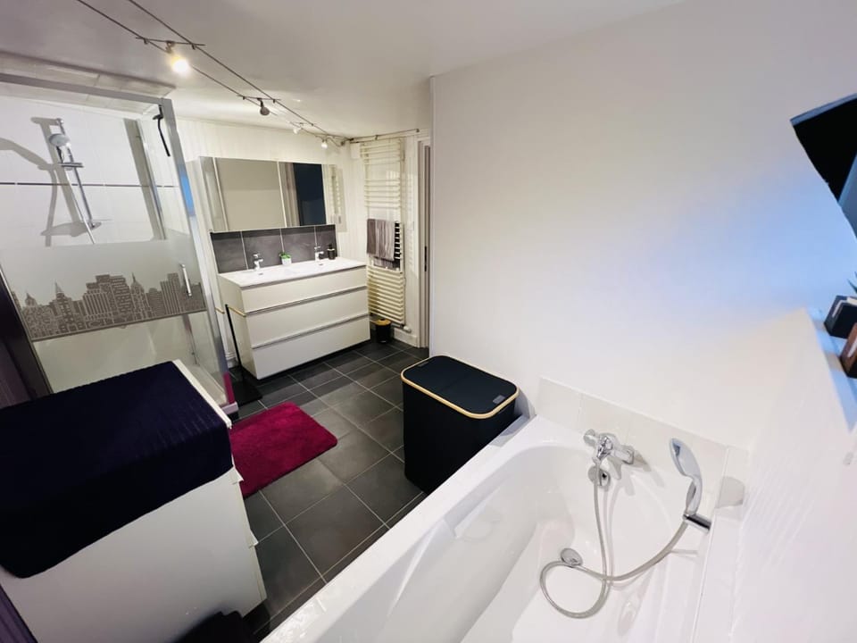 Chez Eliane Apartment in Colmar
