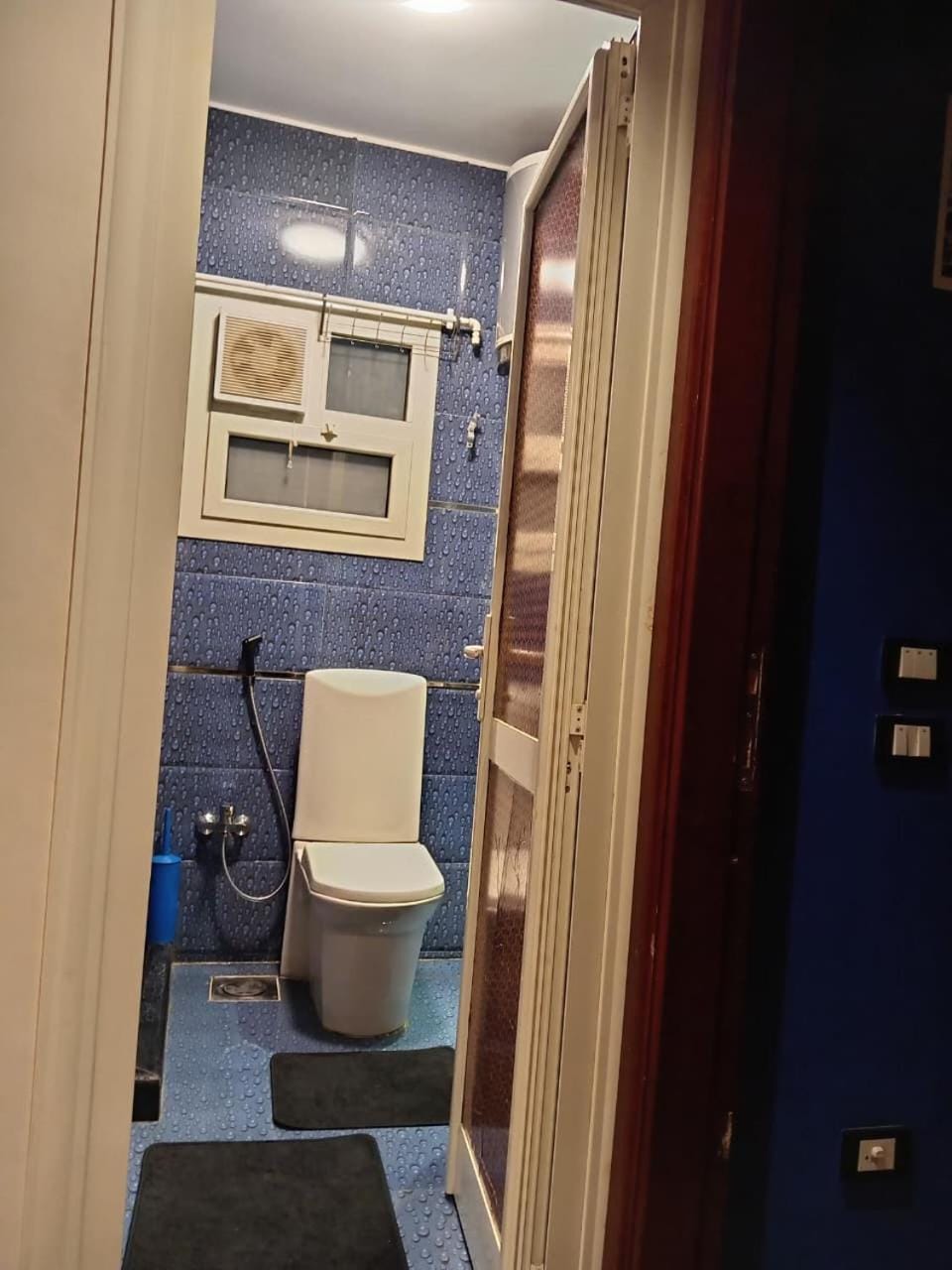 VIP House Apartment in Cairo Governorate