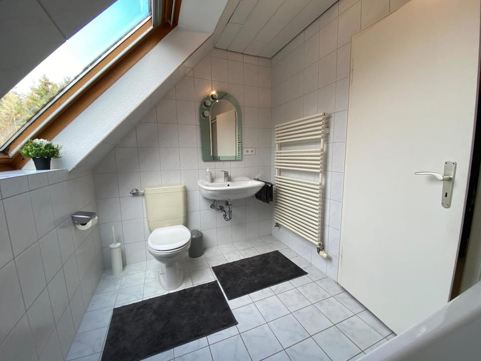 Shower, Toilet, Bathroom, Bath