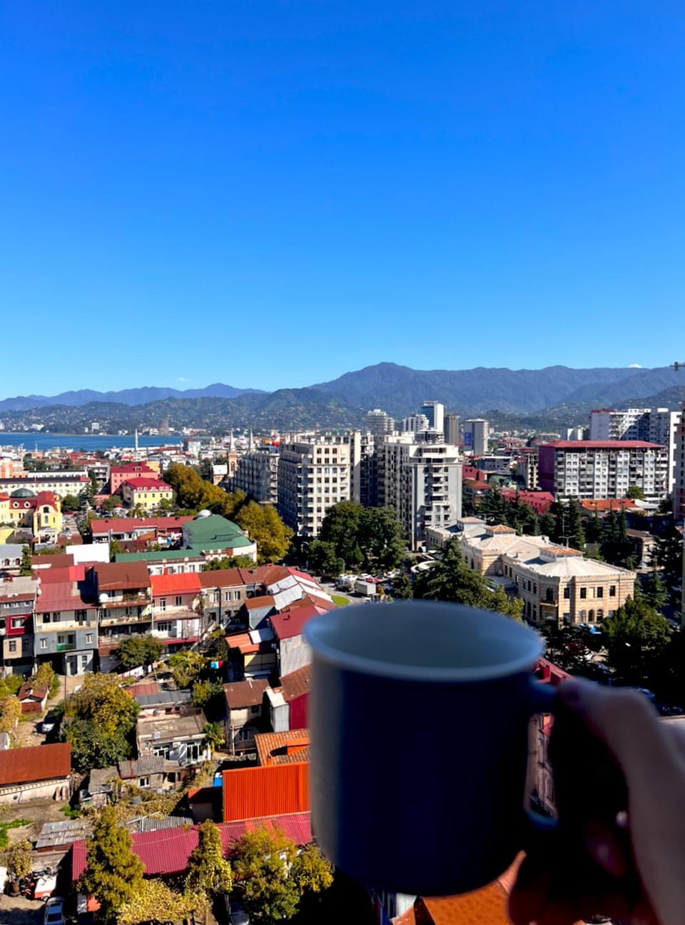 Cozy Apartment in City Center Apartment in Batumi