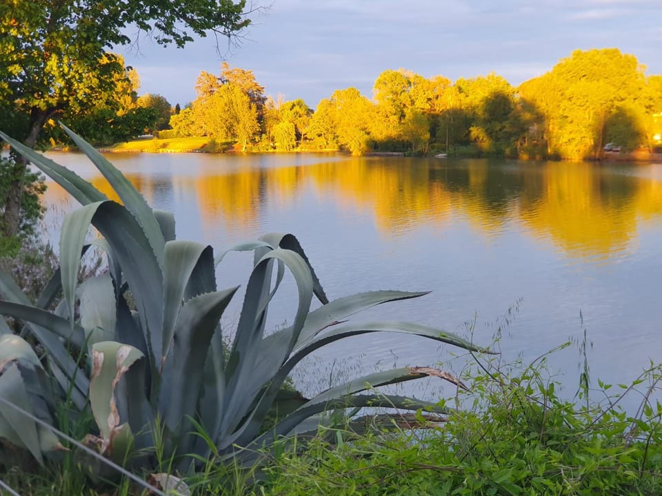 River view