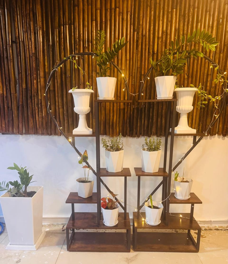 SET INN Restaurant & Bar Bed and Breakfast in Phuket