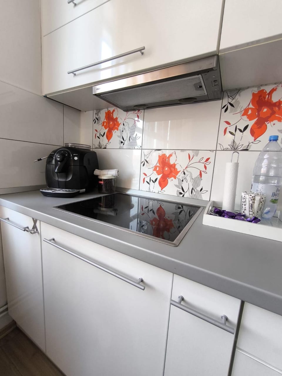 Lend Grand Apartment Apartment in Romania