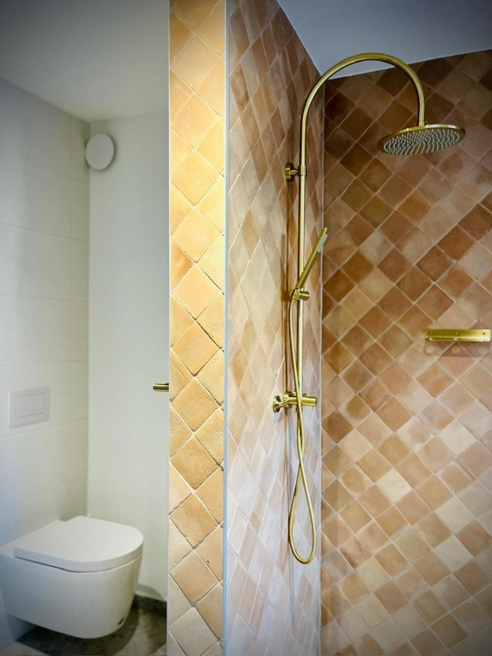 Shower, Toilet