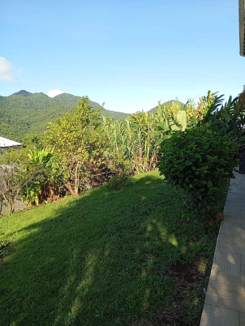 Mountain view