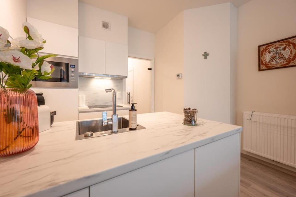 Kitchen or kitchenette, kitchen