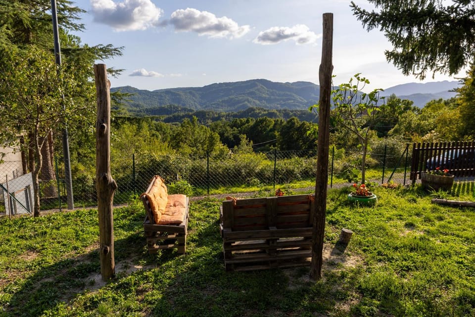 Day, Natural landscape, Garden, Garden view
