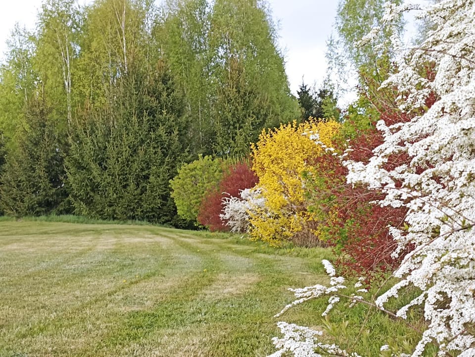 Zielona Dolina Farm Stay in Belarus