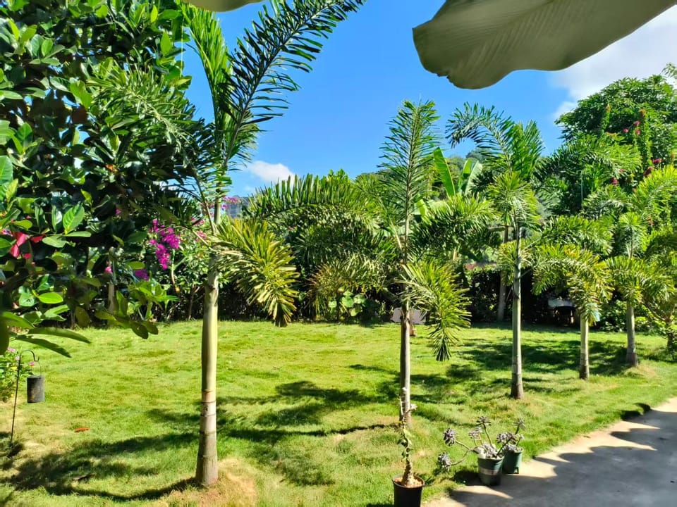 Property building, Garden