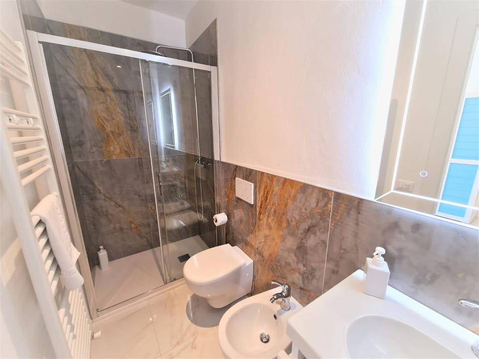 Shower, Toilet, Bathroom, bidet