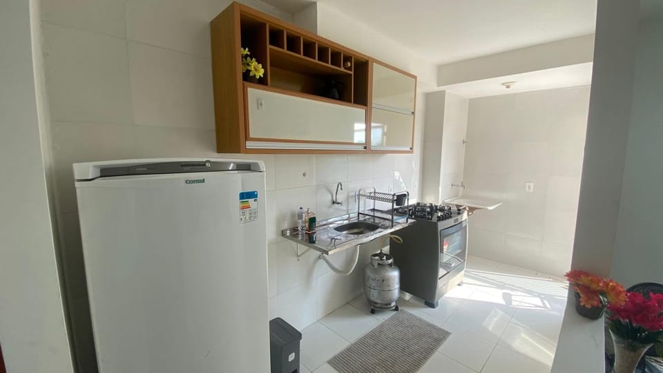 Kitchen or kitchenette, oven, stove
