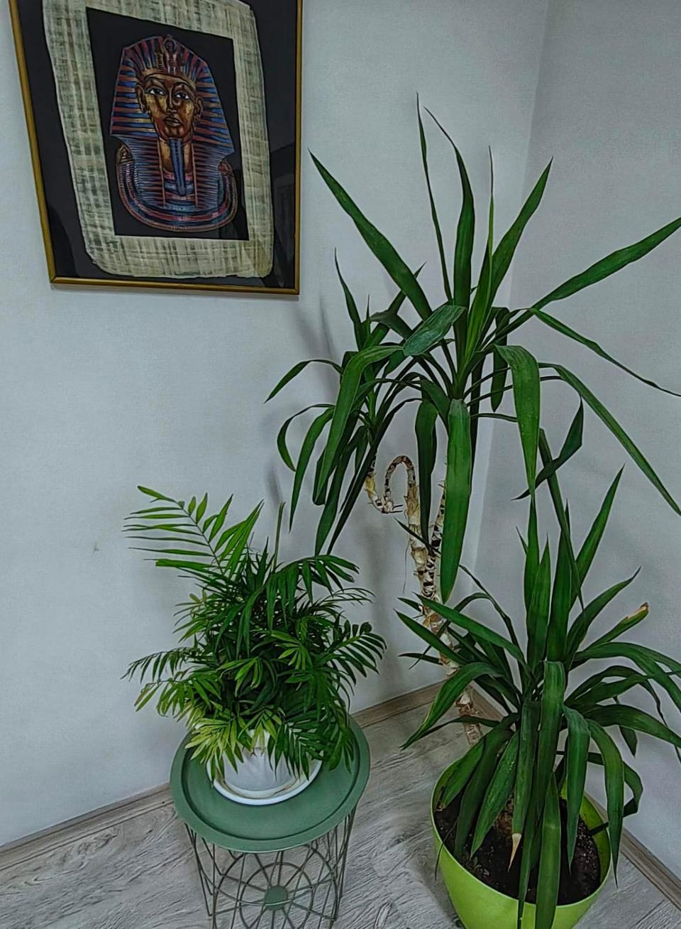 Living room, Decorative detail