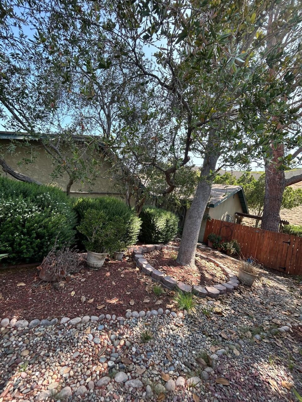 Natural landscape, Garden, Garden view