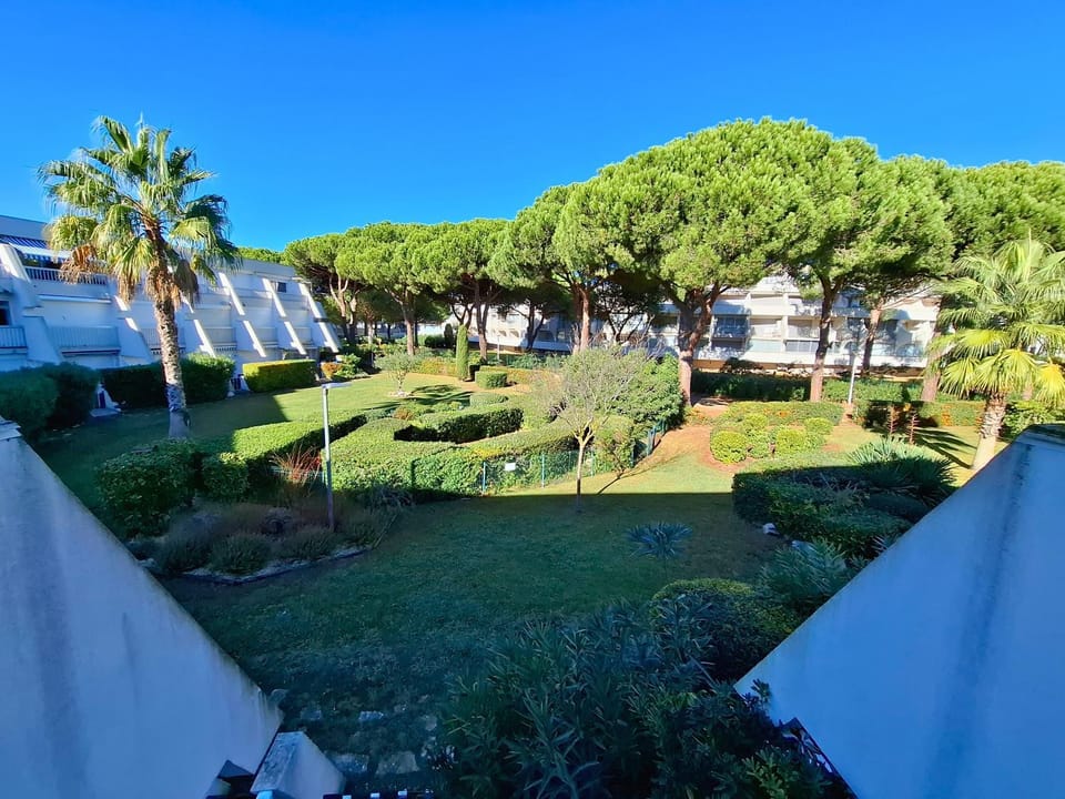 Garden view