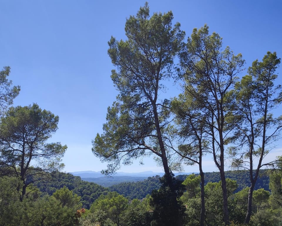 Spring, Day, Natural landscape