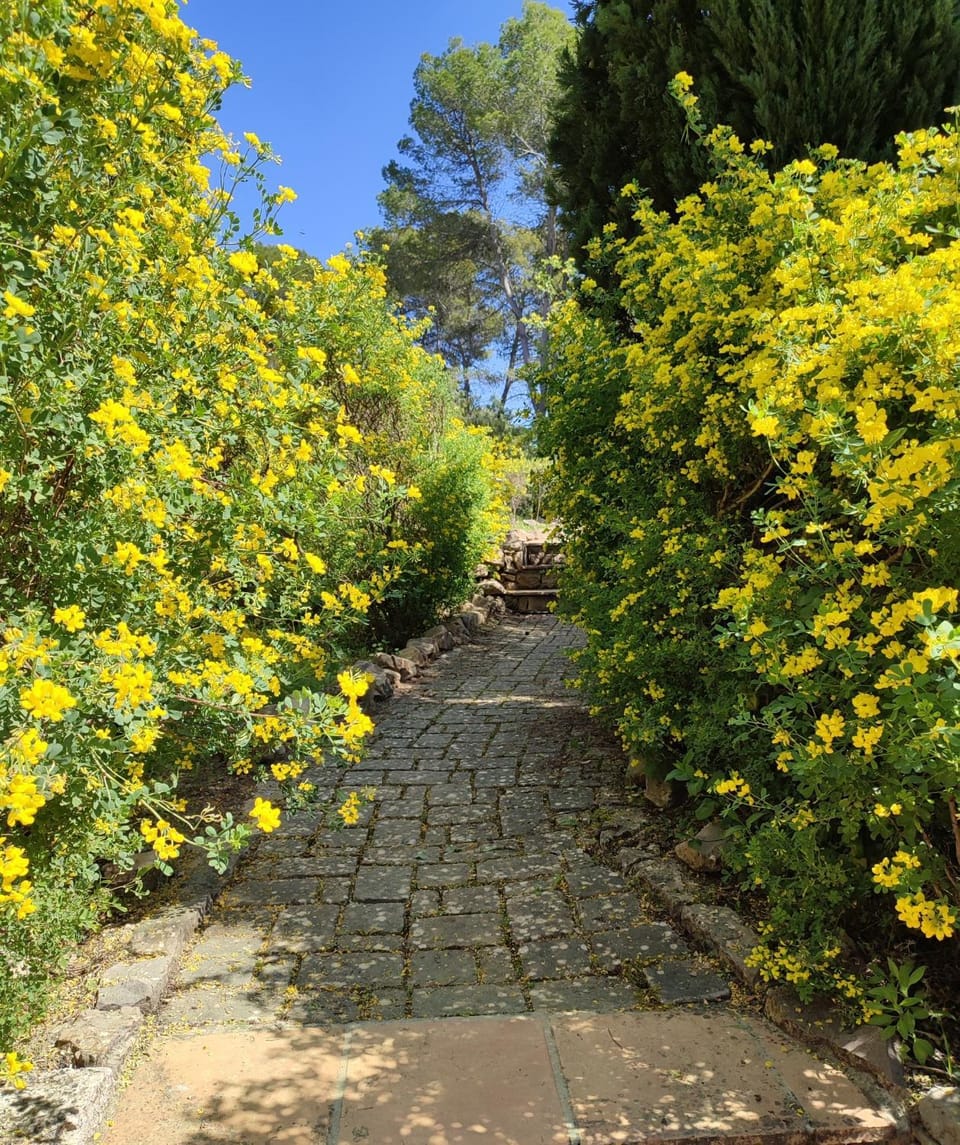 Spring, Garden