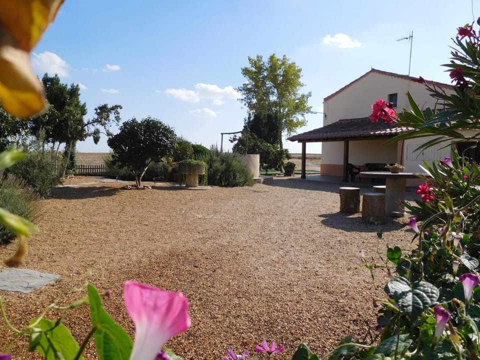 Garden, Garden