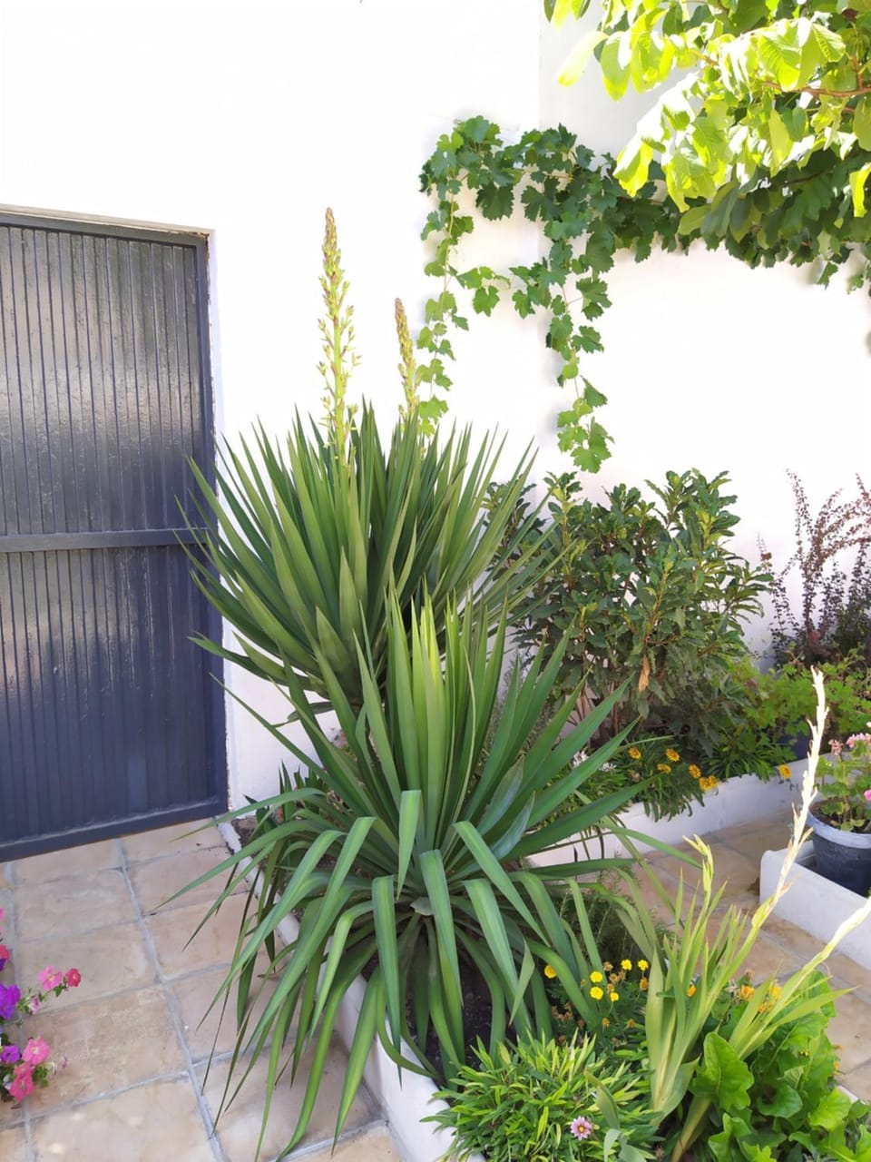Garden, Garden