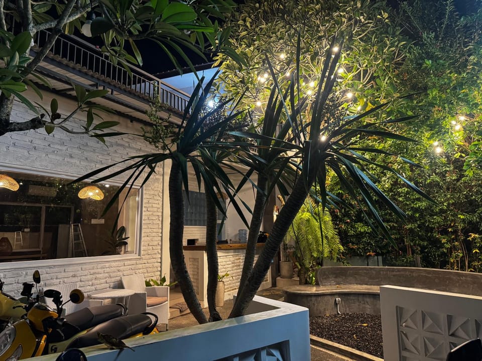 Garden view