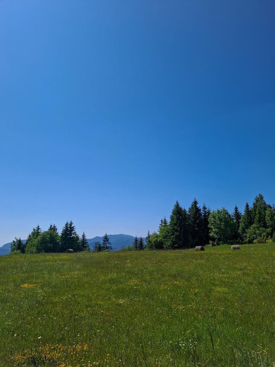 Spring, Natural landscape
