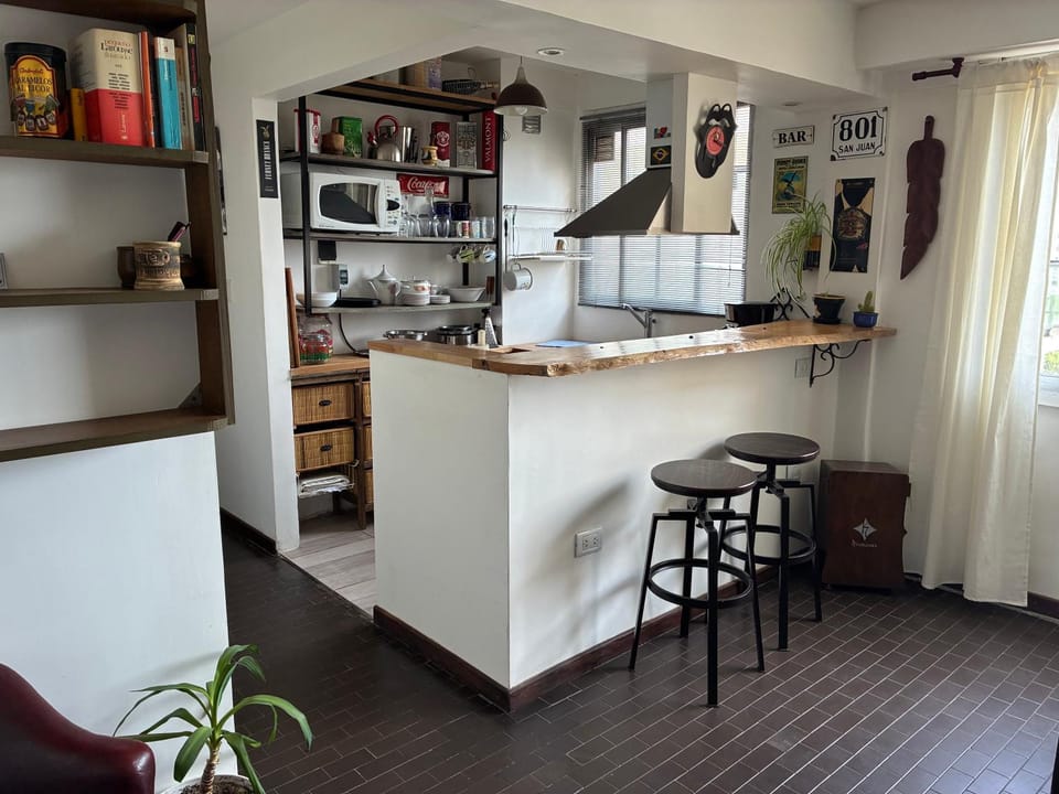 Penthouse Alberti Apartment in Mar del Plata