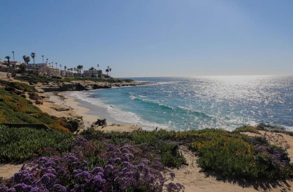 Snorkeling, Beach, Sea view