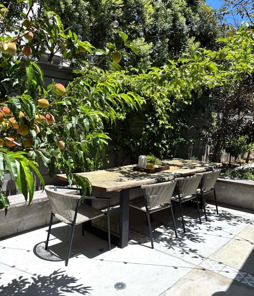 Patio, Garden, Seating area