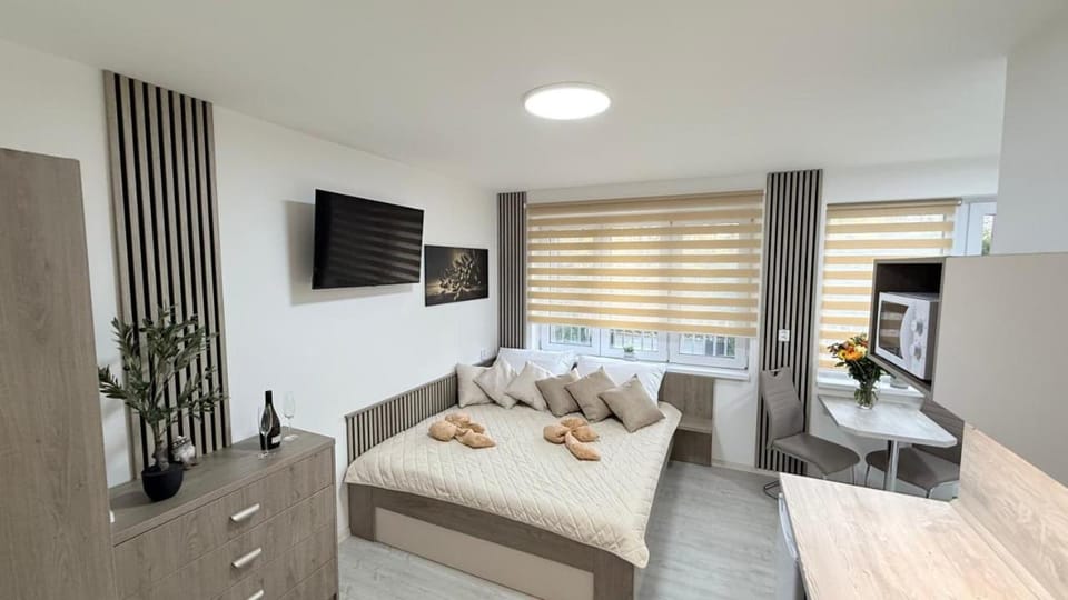 Apartmány Perfect Home Apartment in Czechia
