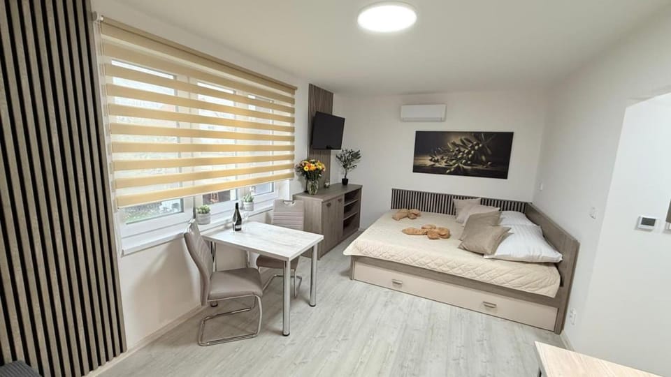 Apartmány Perfect Home Apartment in Czechia
