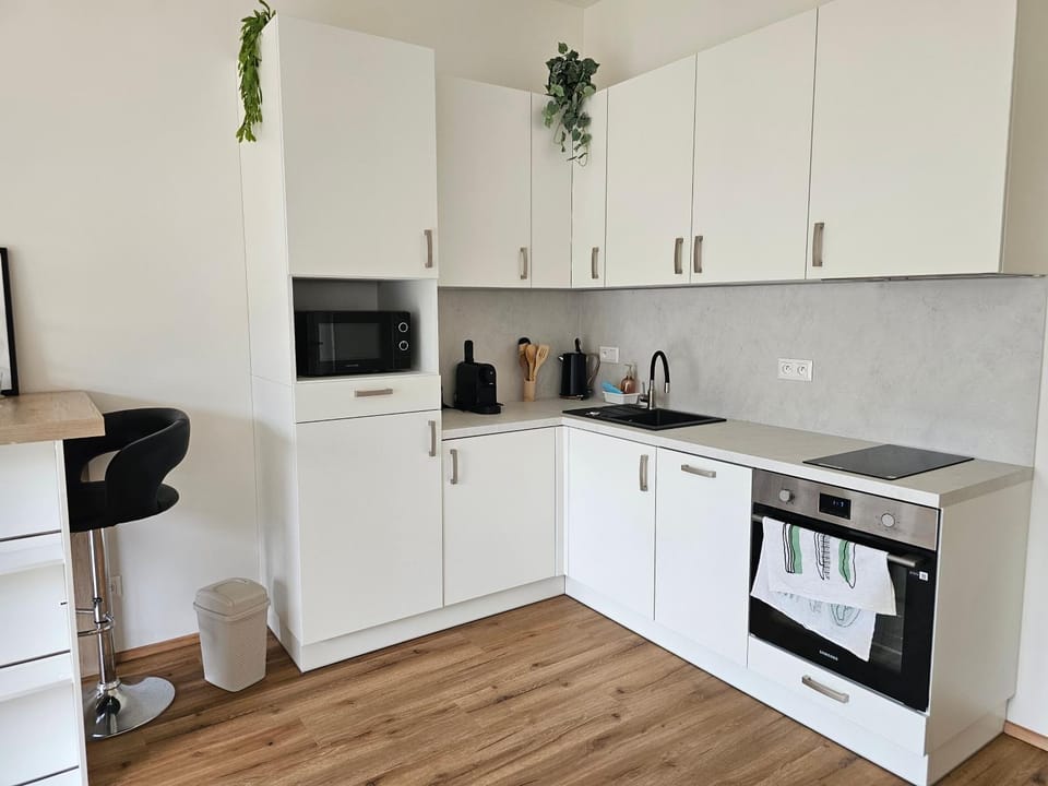 Apartmán Meridiem Komárovská Apartment in Brno