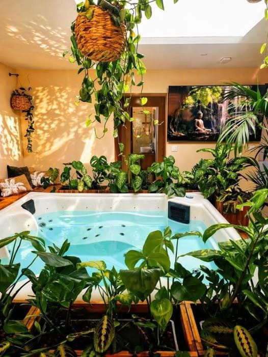 Garden, Hot Tub, TV and multimedia