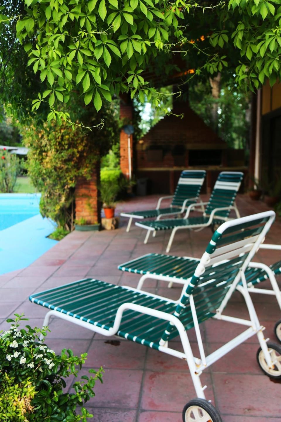 BBQ facilities, Garden view, Pool view, sunbed