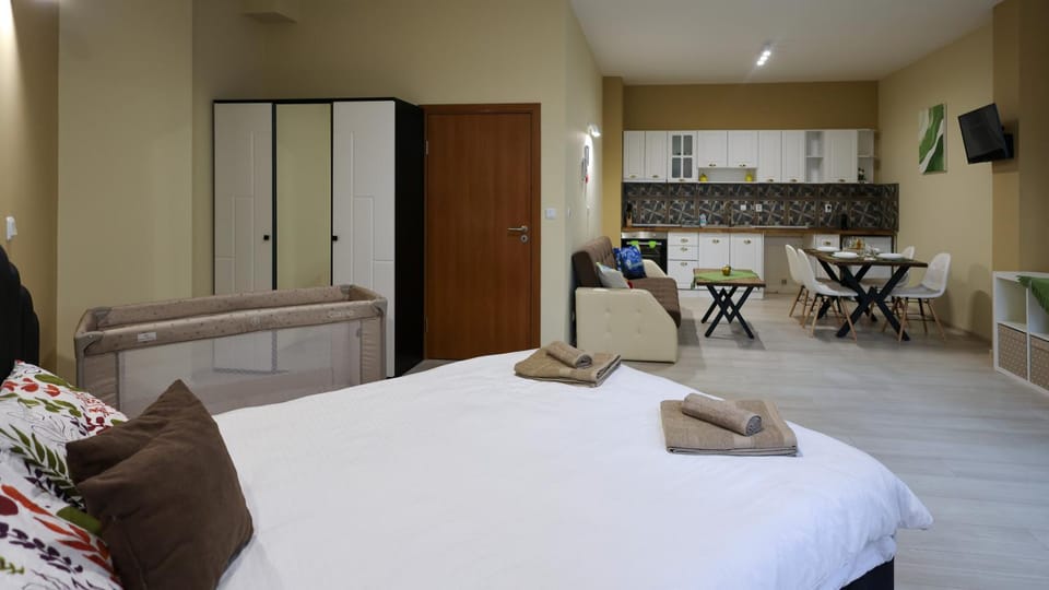 TV and multimedia, Kitchen or kitchenette, Photo of the whole room, Dining area, Bedroom