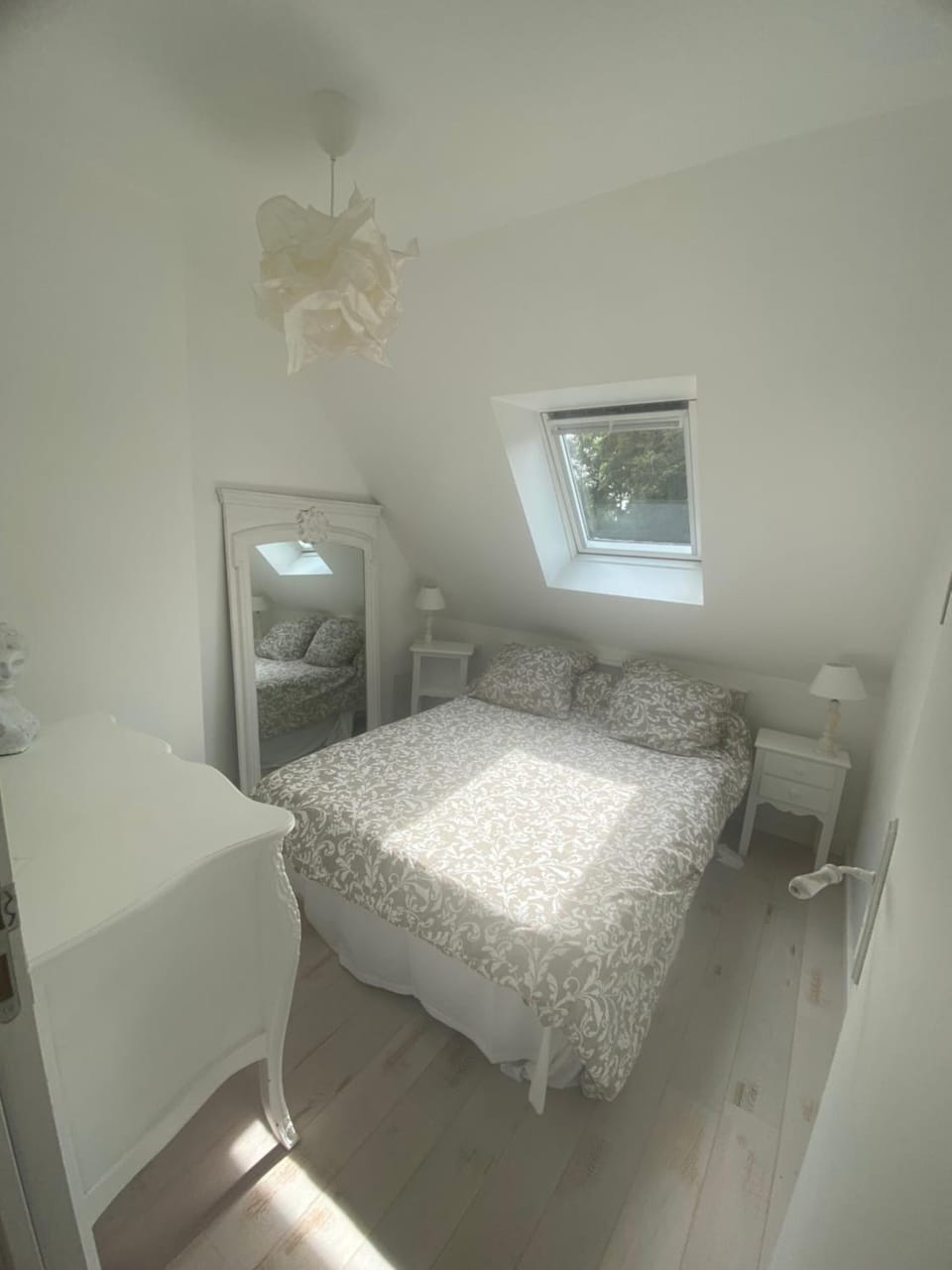 Photo of the whole room