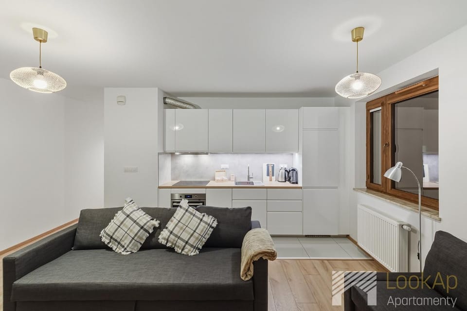 Kitchen or kitchenette, Living room, stove