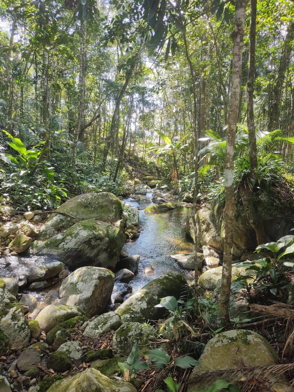 Nearby landmark, Natural landscape