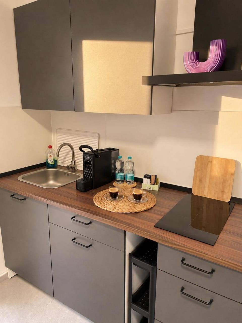 Coffee/tea facilities, Kitchen or kitchenette, stove