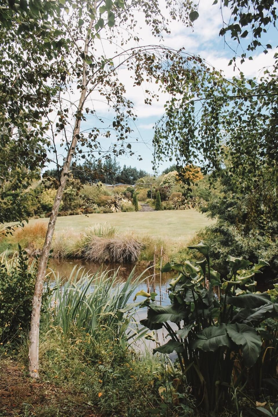 Lake view