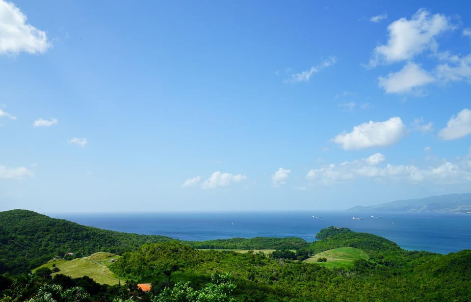 View (from property/room)