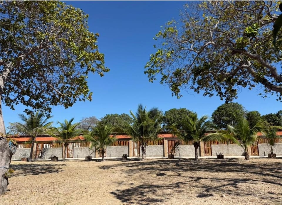 Property building, Garden, Garden view