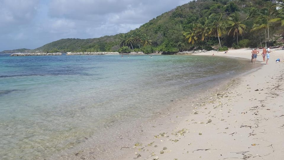 Saint-François - Studio avec piscine et plage-Detente au Balisier Apartment in Grande-Terre, Guadeloupe