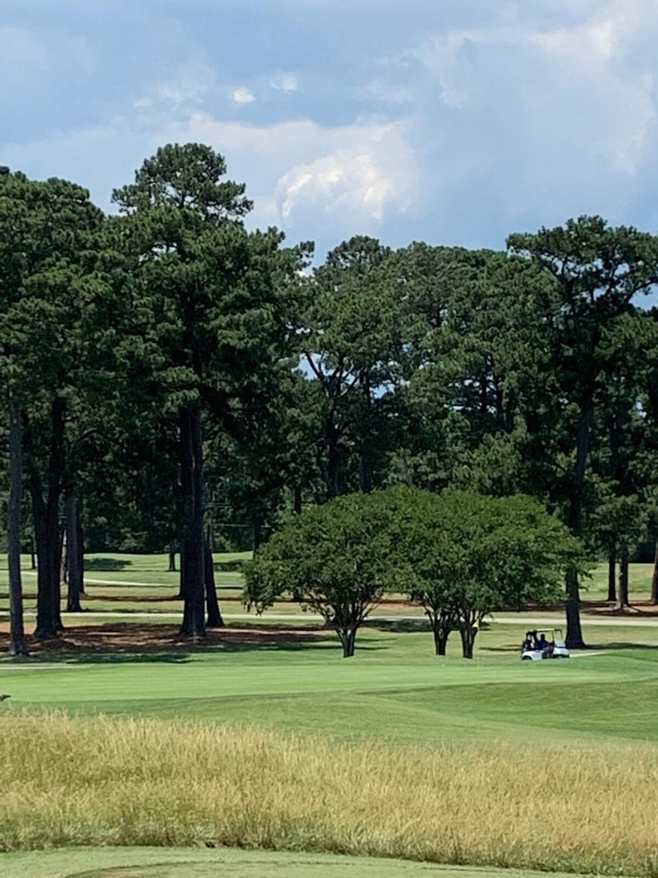 Golfcourse